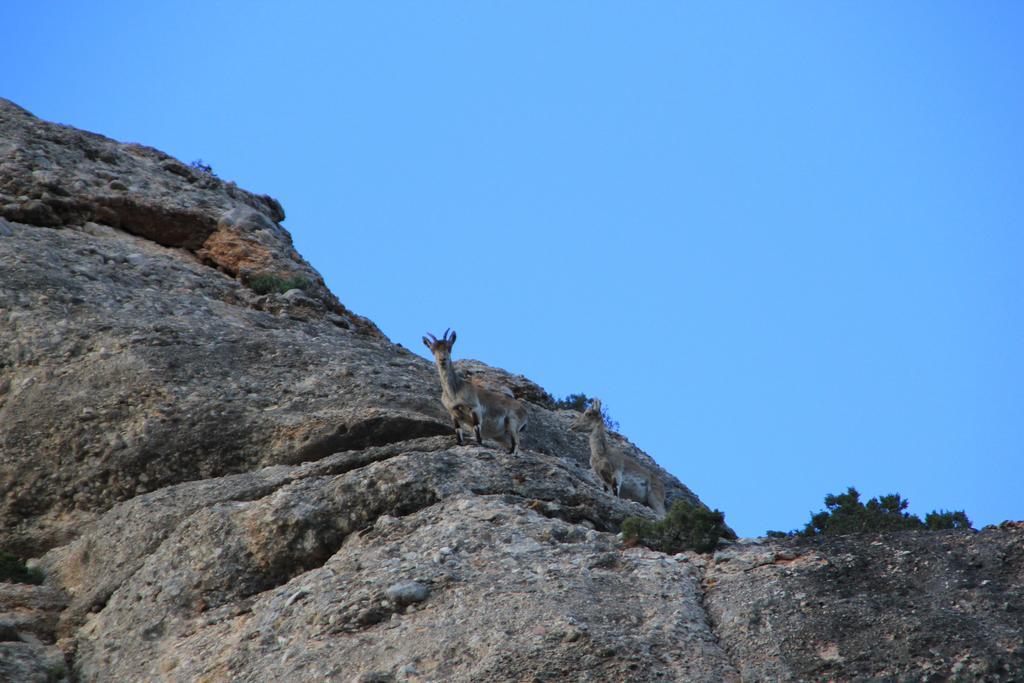Ca La Leonor, Ecoturisme Terra Alta Villa Bot Bilik gambar